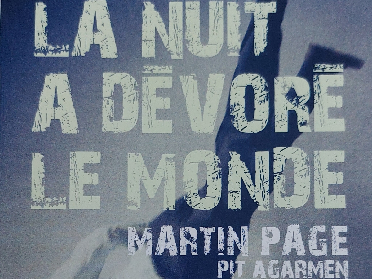 Martin Page, La nuit a dévoré le monde